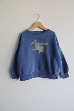 Bluza z konikiem The animals observatory 104